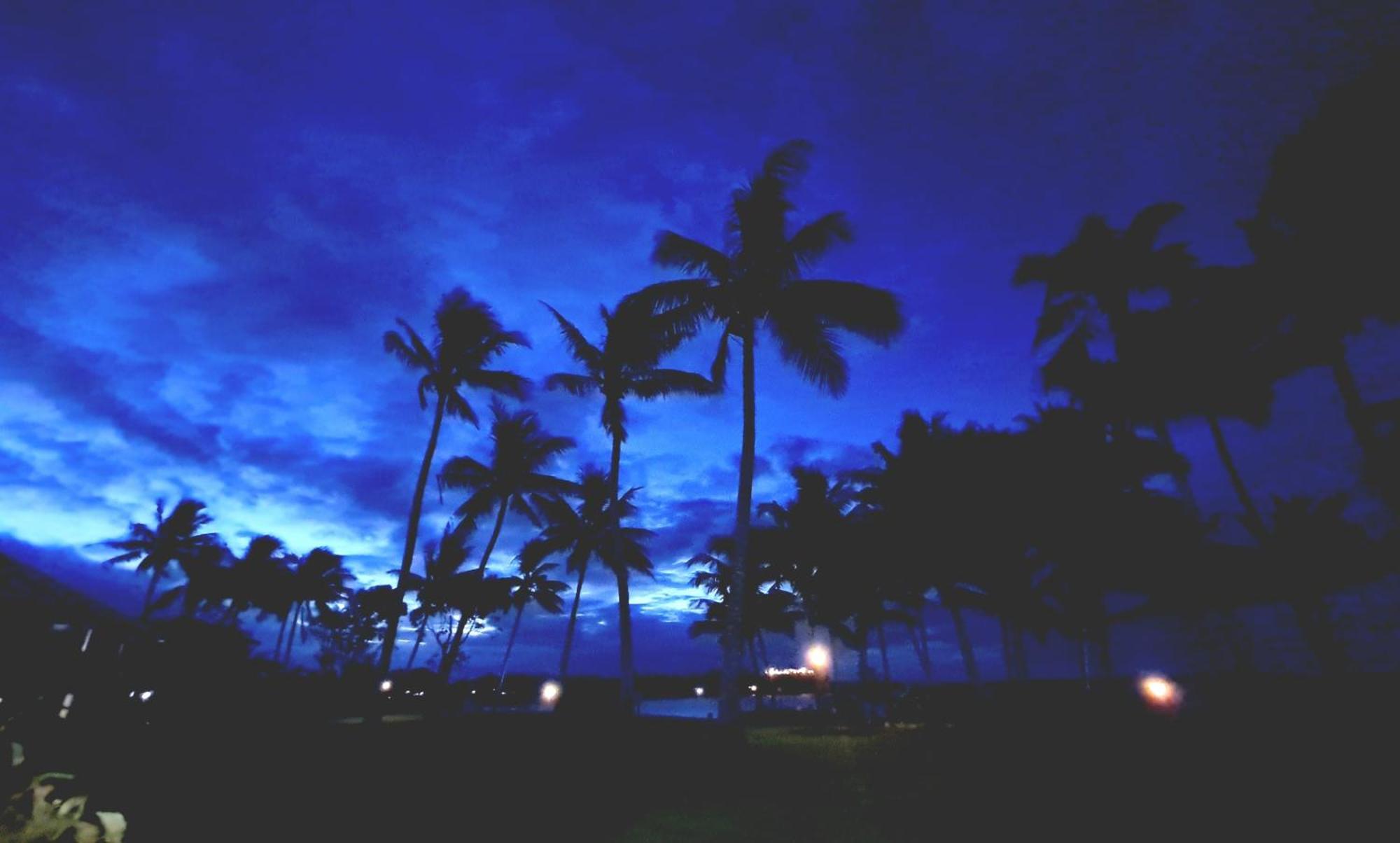 Dolphin Heads - Resort Unit - Absolute Beachfront! - Whitsunday Getaway! Mackay Buitenkant foto